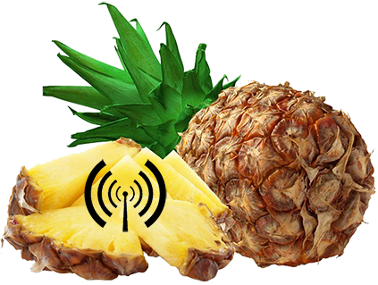 wifi pineapple forum